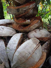 Laden Sie das Bild in den Galerie-Viewer, Image 03: Tiki Monoi Oils Tiki Monoi Ao 120Ml
