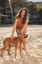 Laden Sie das Bild in den Galerie-Viewer, Image 14: Rio De Sol Bas Bottom Maracai Essential
