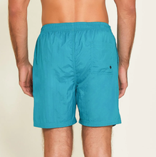 Laden Sie das Bild in den Galerie-Viewer, Model Back: Uv Line Bermuda / Short Pour Homme Short Lucca Petroleo Upf50+
